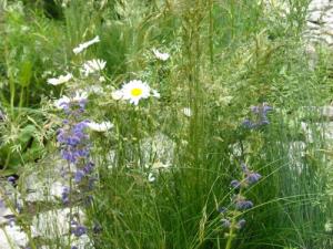 Pepa poroča iz Londona Dobila sem pozlačeno srebro14